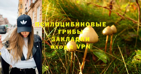 таблы Кодинск