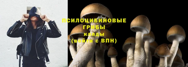 тгк Верхний Тагил