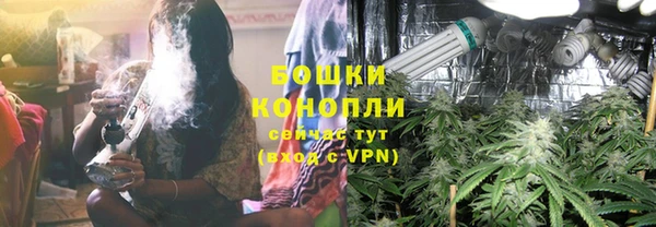 молекула духа Волоколамск