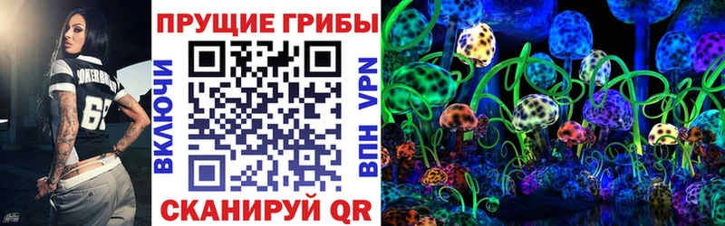 Псилоцибиновые грибы Psilocybe  Георгиевск 